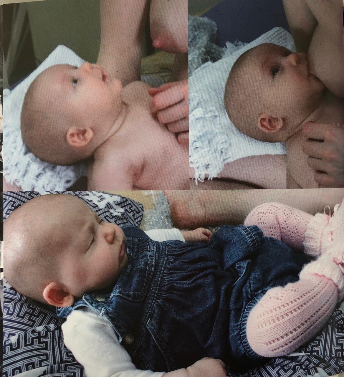 “Coco played, peed, slept, and fed at her mother’s breast”