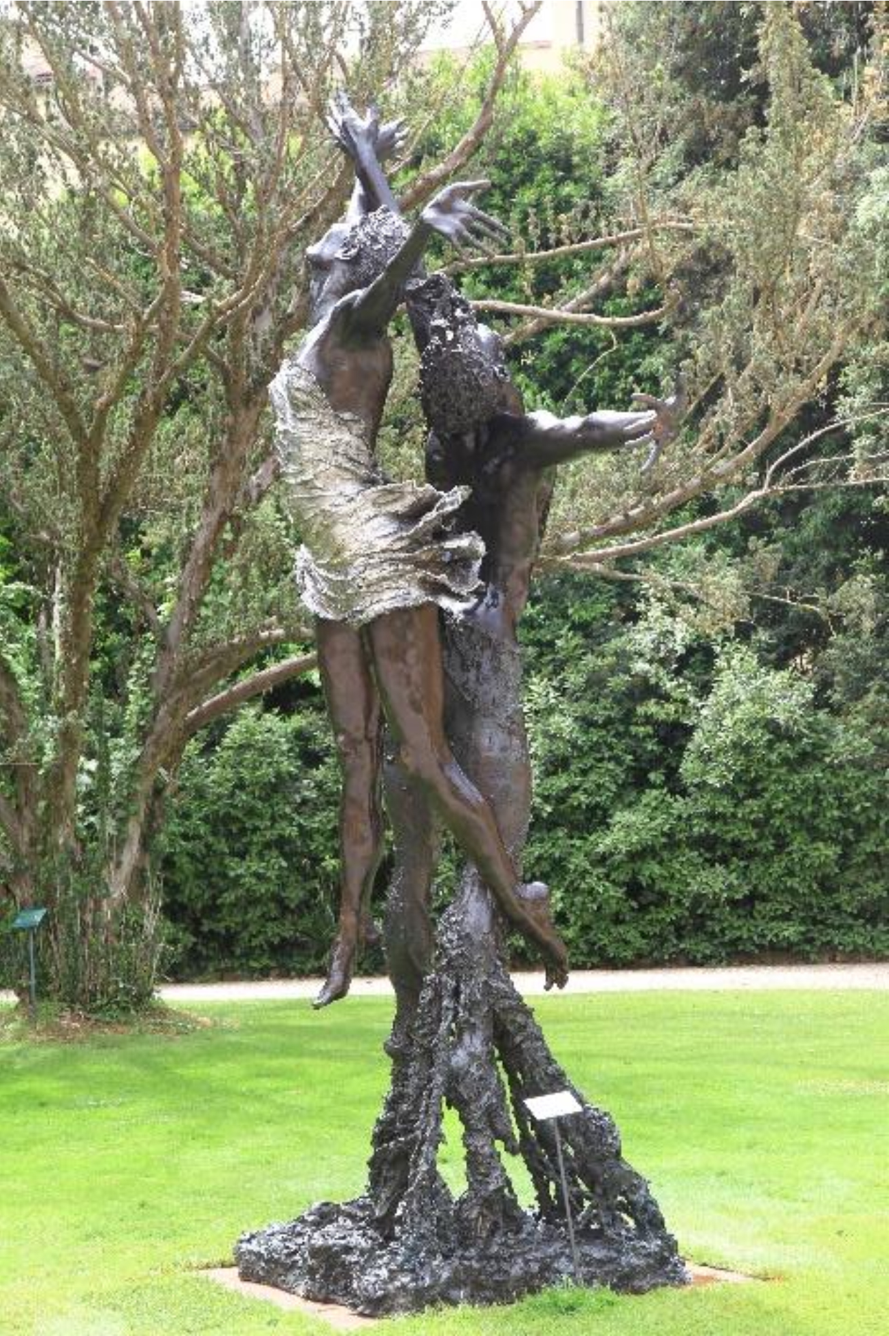 Wind & Sea (XL) Brackenstown House, Swords, Co. Dublin